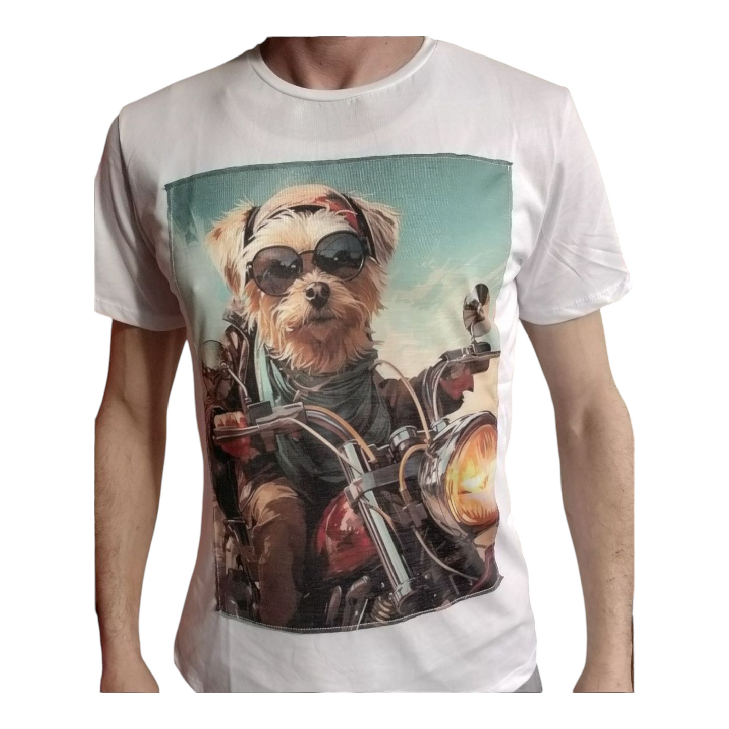 T-shirt cane in moto